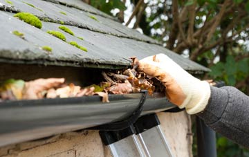 gutter cleaning Newton Hall